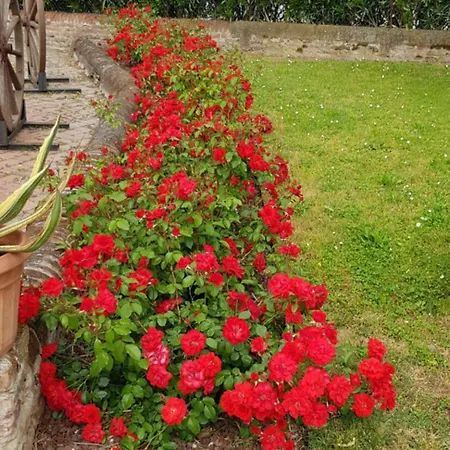 Feriegård Corte Ramedello